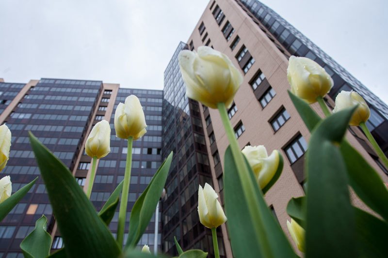 Ипотека. Итоги марта 2024 года