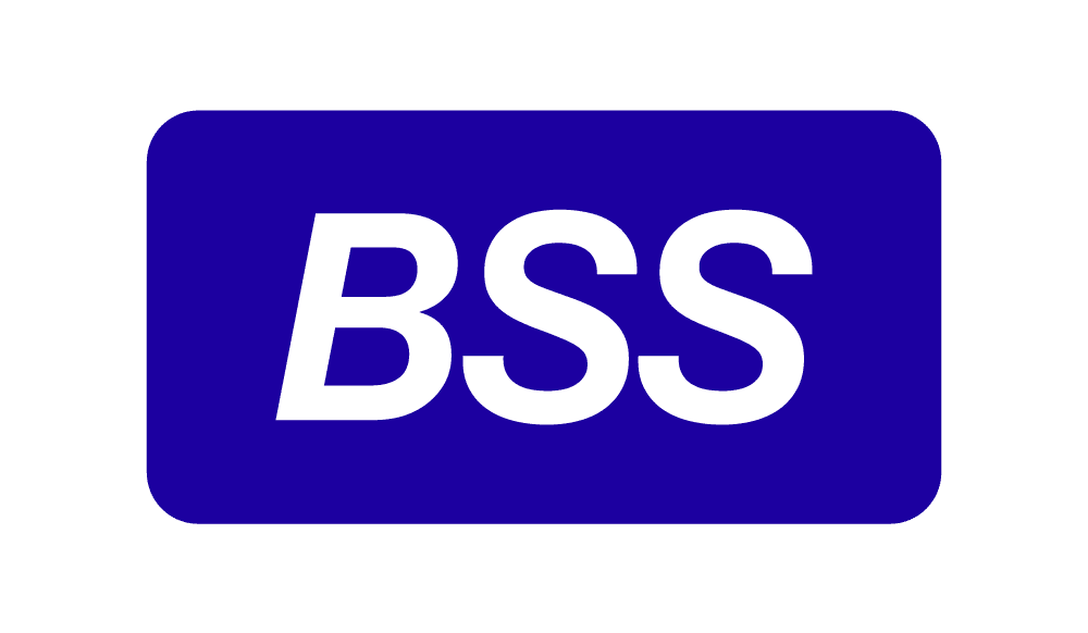 BSS-лого