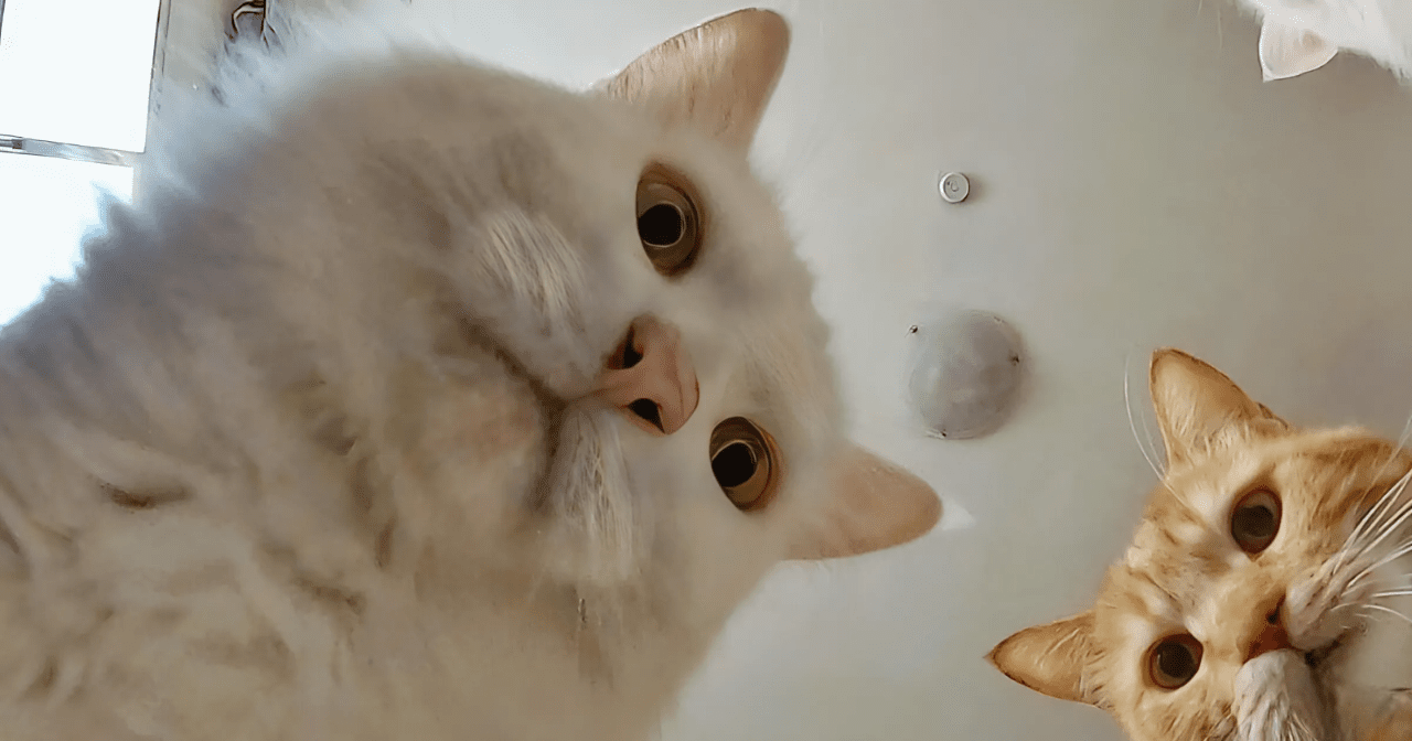 Ипотека. Итоги июля 2024 года